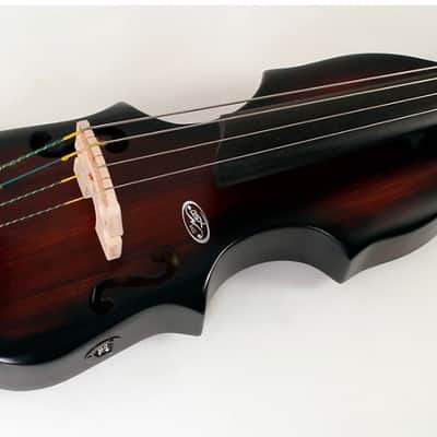 BSX Bass Allegro 4-String Acoustic-Electric Upright Bass - Nutmeg image 3