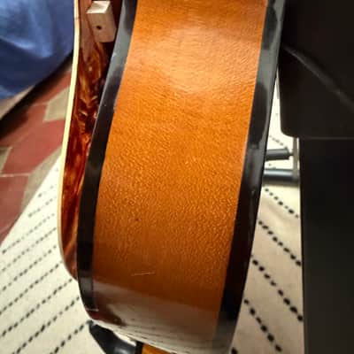Hofner 500/1 Violin Bass 1956 - 1959 - Sunburst Bild 12