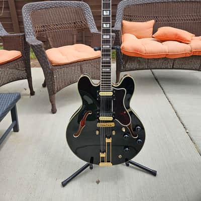 Epiphone Sheraton II 1999 - Awesome Inlays!! image 8