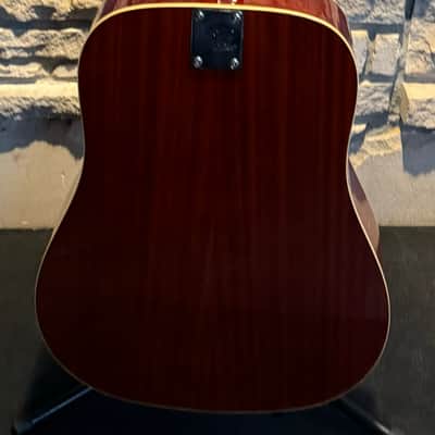 Eko Ranger 6 VR 2010s - Honey Burst image 9