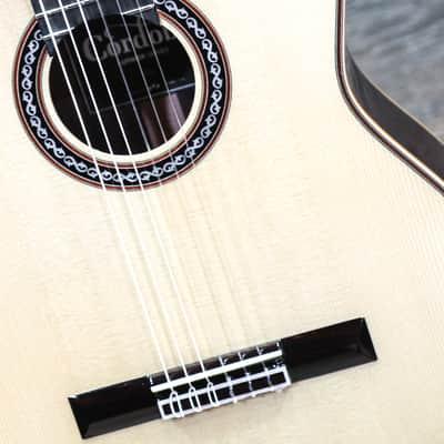 Cordoba C12 SP Luthier Series All-Solid Wood Traditional Classical Guitar w/Case image 8