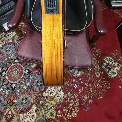 Fender Victor Bailey VB-2 acoustic bass guitar image 10