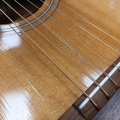Vintage 1969 Harmony Sovereign H1203 w/ Hard Shell Case image 17