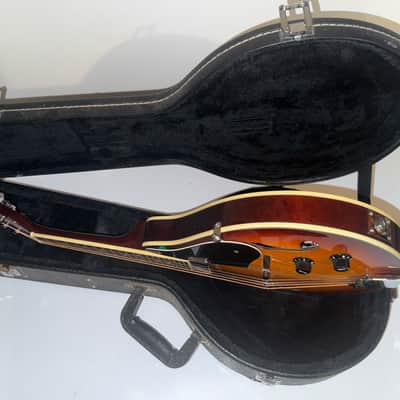 Alvarez A-100E Mandolin - Rare - w/ Built In Pickup image 8