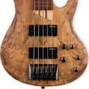 ESP LTD B-205SM Fretless 5-String Bass Guitar, Roasted Jatoba Fingerboard, Natural Satin