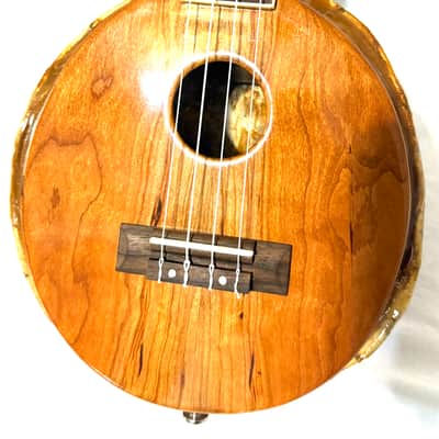 Turtle Shell Concert Ukulele image 3