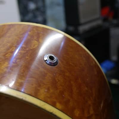 Eko Ranger VI Electroacoustic (Hard Case included) image 13