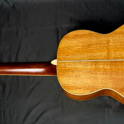 Stevens 00 12 fret Engelmann spruce top Blackwood back and sides image 5