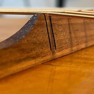 Lyon & Healy Parlor Guitar 1890 Natural - Fit perfectly with a New Guardian CG 018 TP Parlor Case image 14
