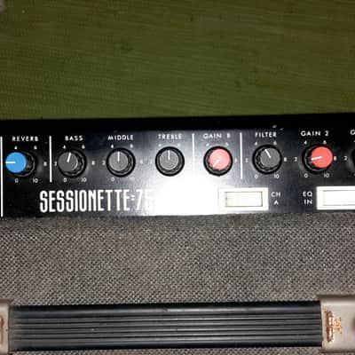 Session Sessionette 75 2x12 combo image 2