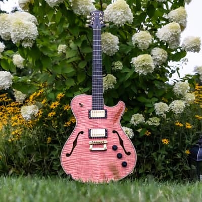 Knaggs Chena Tier 1/Pink Coral/SSC Neck image 4