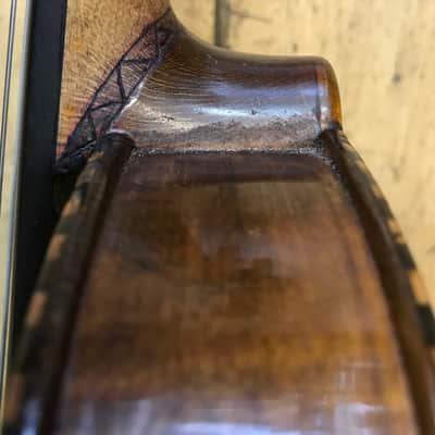 Antique violin Labelled "Jacob Stainer" Lionhead circa 1890 image 14
