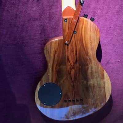 Rick Turner RB5 Fretted 2015 Gloss Renaissance Bass image 2