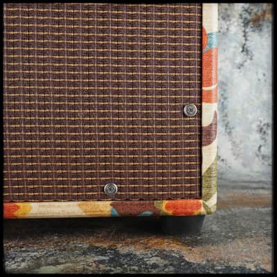 Benson Vinny Reverb Combo - Desert Gertie image 10