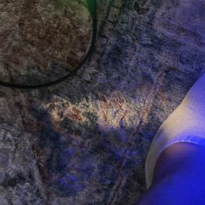 IK Multimedia ToneX One Brown Sound 2025 - White image 10