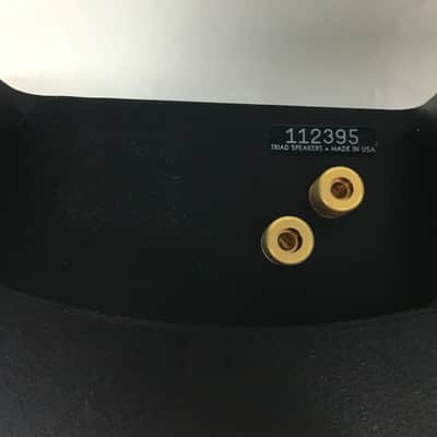 TRIAD InWall Gold/4 Surround (Classic Model) Audiophile In-Wall Surround Speaker image 8