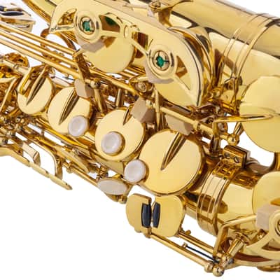 Eb Alto Saxophone Outfit Gold Lacquered Brass w/ Hard Case, Mouthpiece, Reed & Gloves image 12