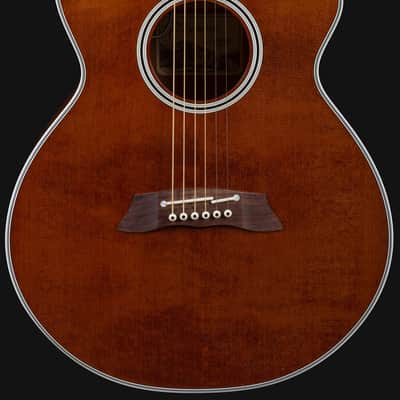 Takamine EF-261 SAN Acoustic-Guitar, cedar top, Pick-up and Case, s/h image 2