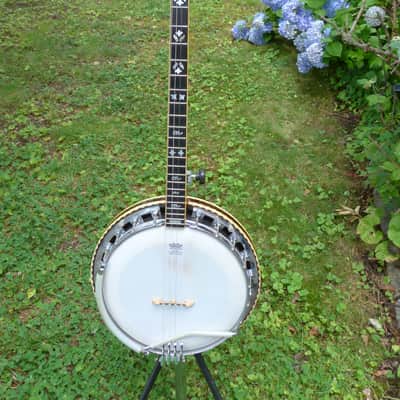 Jany tenor banjo image 1