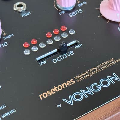 Vongon Rosetones · Resonant String Synthetizer image 6