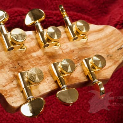 B.C. Rich Acoustic Cutaway 6 -String - Spalted Maple - W/Matrix Infinity VT & Hardcase image 10