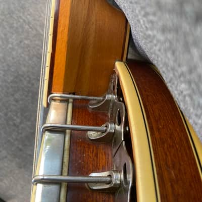 Tenor banjo image 6