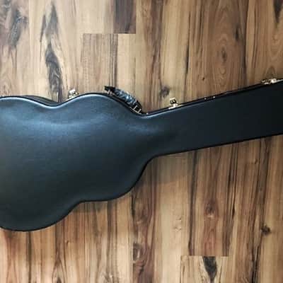 Cathedral 10 string clasical guitar 2013 with midi pickup image 10