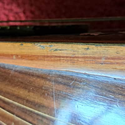 CATANIA SILVESTRI Sicilian concert mandolin with modern fretboard  1900s image 11