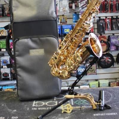 Selmer La Voix Alto Sax w/Original Case & 2 Mthpcs; Dukoff & Otto Link image 1