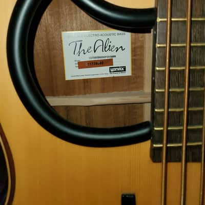 Warwick Alien Acoustic Bass 5 String (B-Stock) + + bonus/Free ToneWood Amp for Acoustic Guitar + bonus/Free Taylor Precision Digital Hygrometer and Thermometer image 3