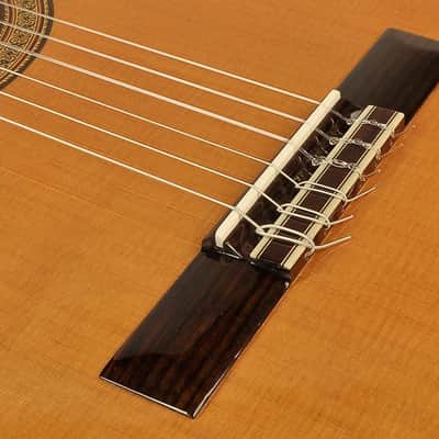 Esteve Electro Acoustic 3ECE classic guitar image 5
