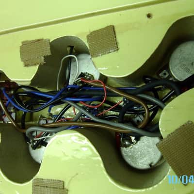 Lotus Double Cut image 15