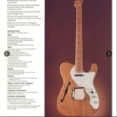 1971 Fender Telecaster Thinline American Vintage 70s USA Semi-Hollow Body Hollowbody F Hole Ash Recording Studio Electric Guitar Custom Color image 2
