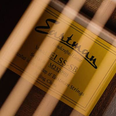 Eastman E1SS Sunburst image 11
