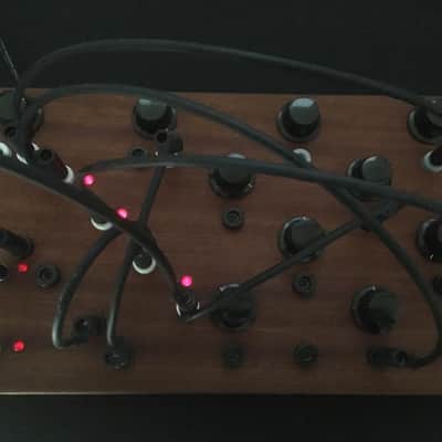Ouroboros Alea - West Coast Buchla-like / Discontinued -Signed Serial #1 image 3