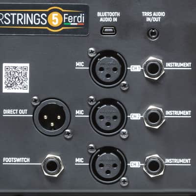 Acus OneForstrings 5 Ferdi Blackwood - Acoustic Guitar Amp image 10