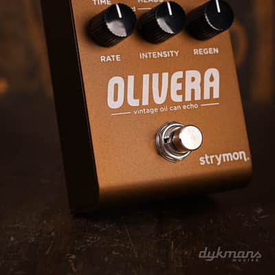 Strymon Olivera Vintage Oil Can Echo image 1