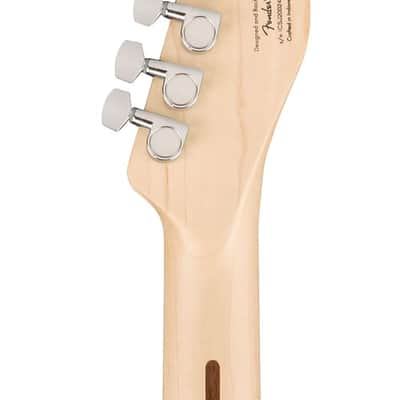 Squier Affinity Series Telecaster Left Handed with Maple Fingerboard - Butterscotch Blonde image 6