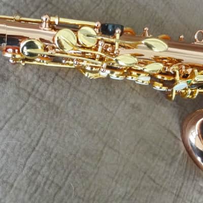 Monique Pro Series Alto Saxophone (SELMER/BUFFET CLONE) 1990s - Copper & Brass image 21