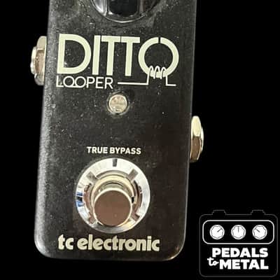 TC Electronic Ditto Looper 2013 - Present - Black X7989 image 2
