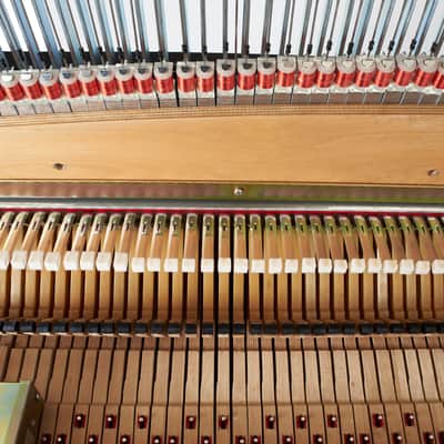 Fender Rhodes Suitcase 1970 Restored by Vintage Vibe image 15