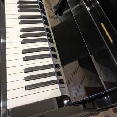 Petrof Fibich 119-II Upright Piano 1999 - Black High Gloss Finish image 5