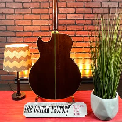 Washburn AB-20  90's Gloss Natural Wood With Hard Case image 11