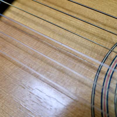 1915 Washburn Parlor Guitar image 19