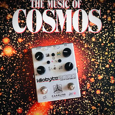 Caroline Guitar Company Kilobyte-2000 Lo-Fi Tap Delay image 6