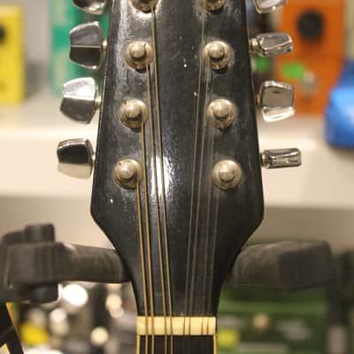 Palmer M-001 Mandolin Sunburst image 4