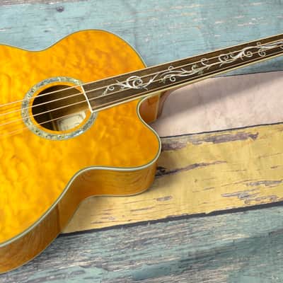 Michael Kelly Dragonfly 4FL Fretless Acoustic Bass image 3
