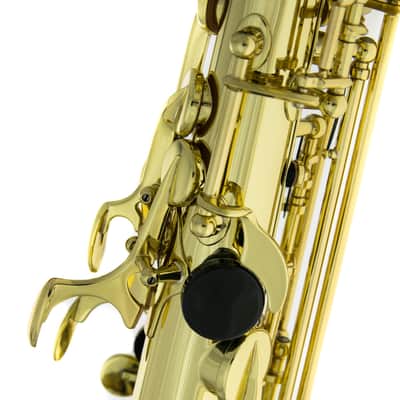 Selmer Axos Alto Saxophone image 15