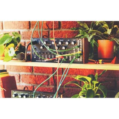 Moog Spectravox Semi-Modular Analog Spectral Processor image 7
