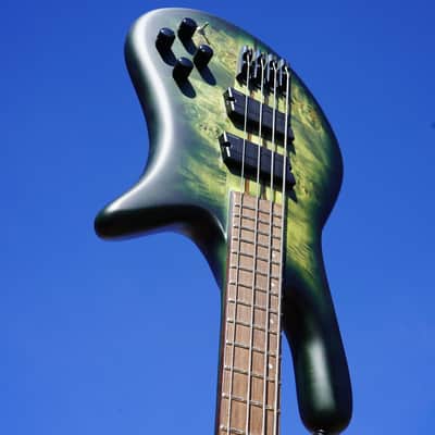 Spector NS Dimension 4 Multi Scale w/ Gig Bag - Haunted Moss Matte 4-String Bass image 1